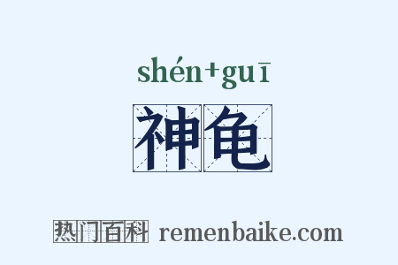 神龟是什么意思的图片